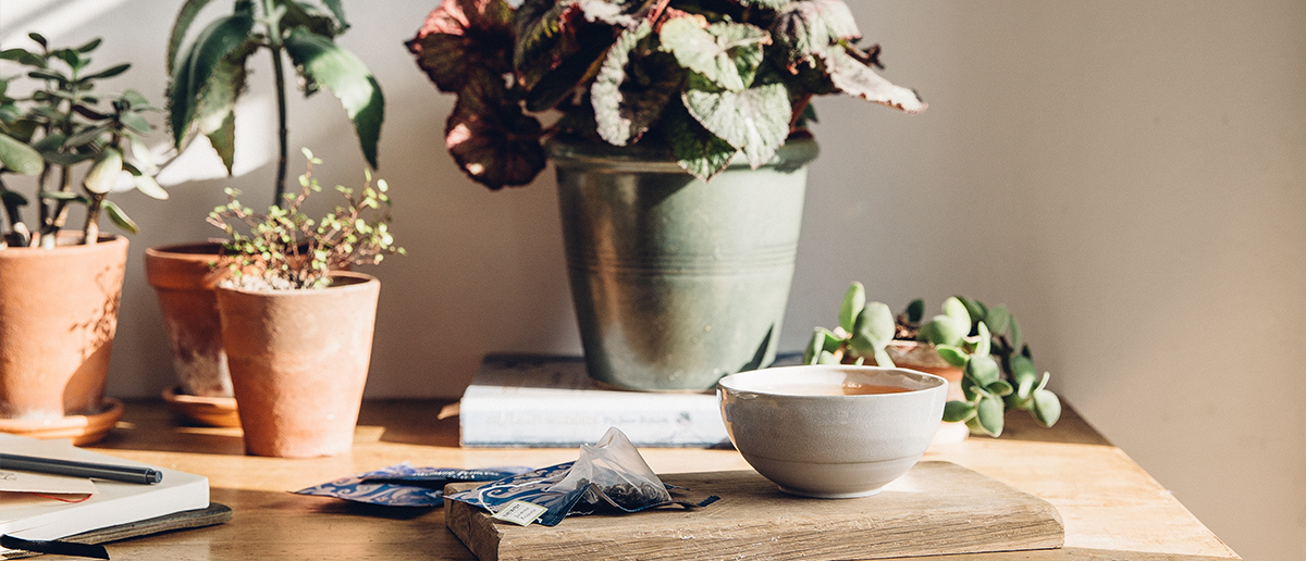 The Health Benefits of Tea