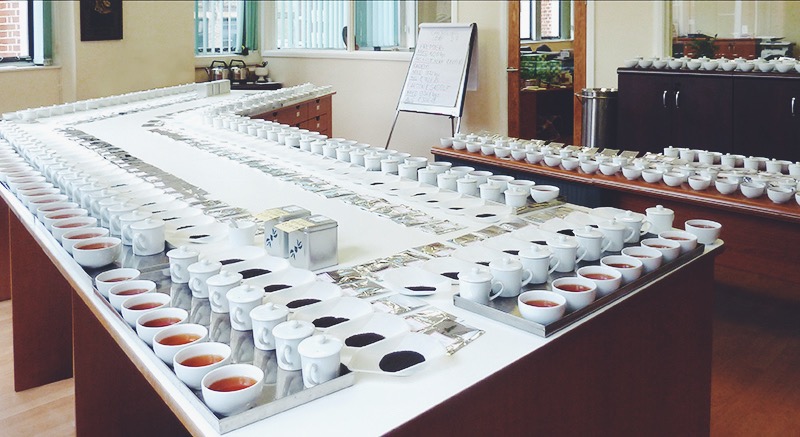 The Journey of a Newby Tea. Part 1: Only the Best