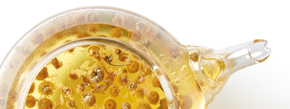 Chamomile: Herbal Tea of the Month